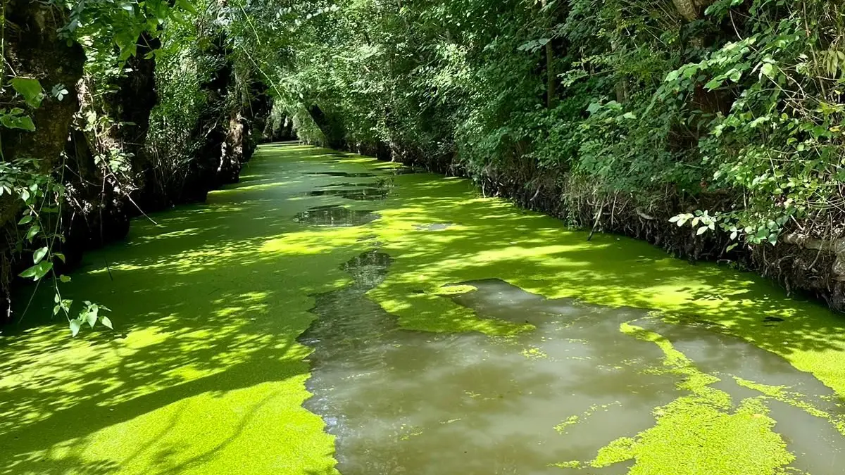 Le Marais Poitevin La Venise Verte_46