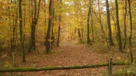 Courfontaine chemin randonnée
