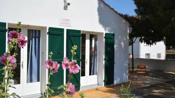 HLOPDL0850002918_3