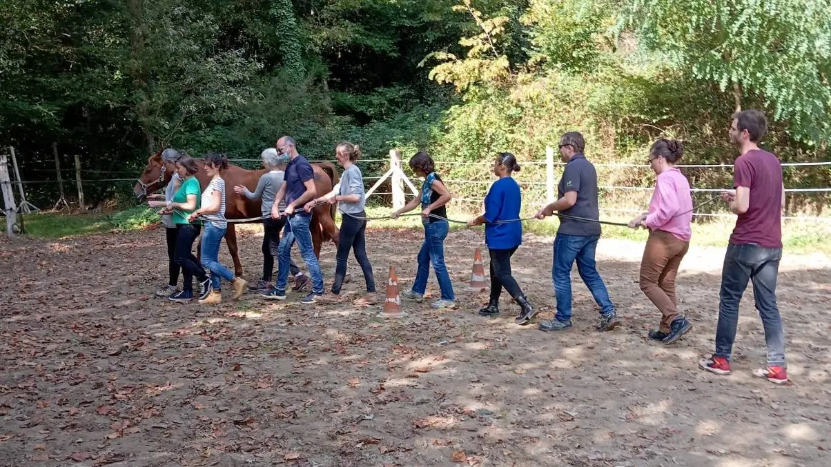 Horse coaching 006