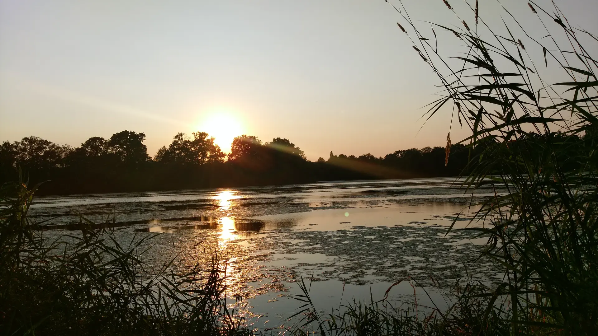 Pêche en Mayenne - Olivet