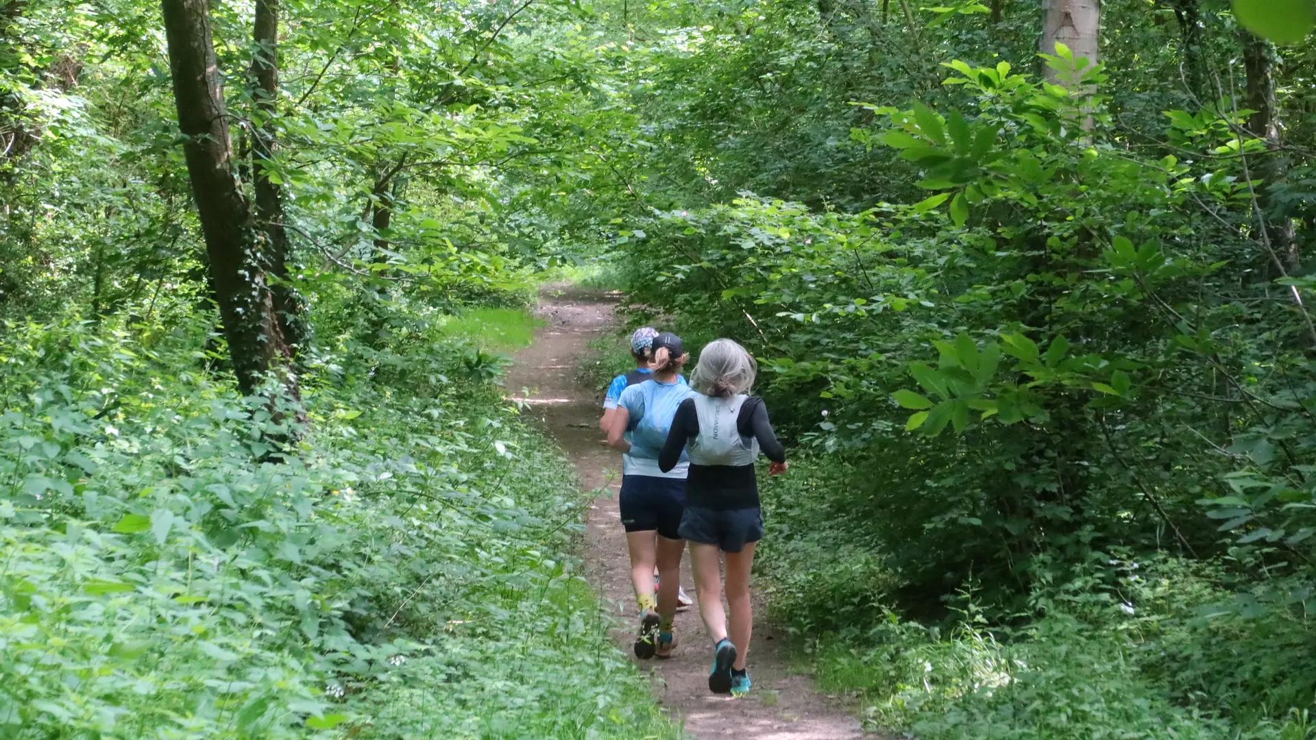 Le Plein d'Aventure !