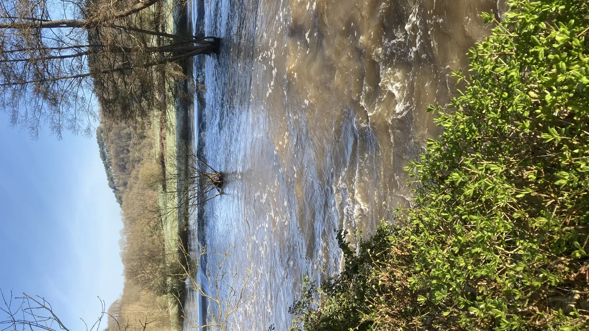 la rivière la Sarthe