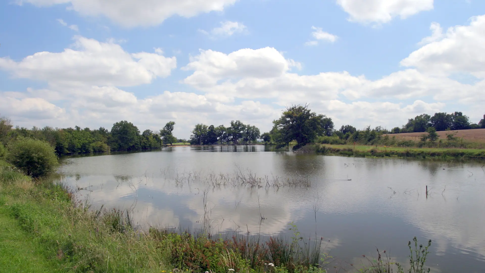 VIGNE ET ETANGS DE LA MORINIERE