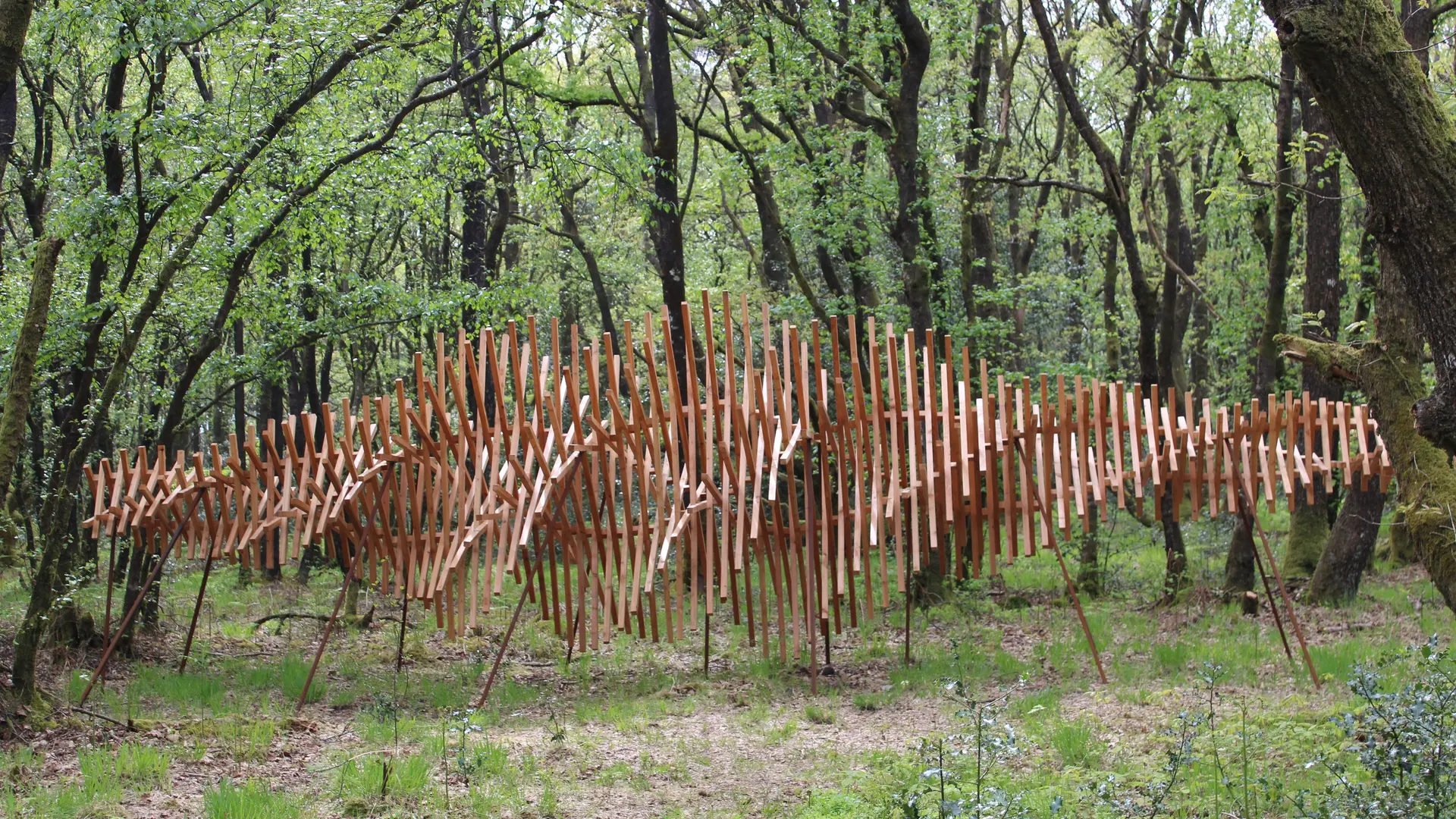 Topo de Elparo, oeuvre sur le parcours