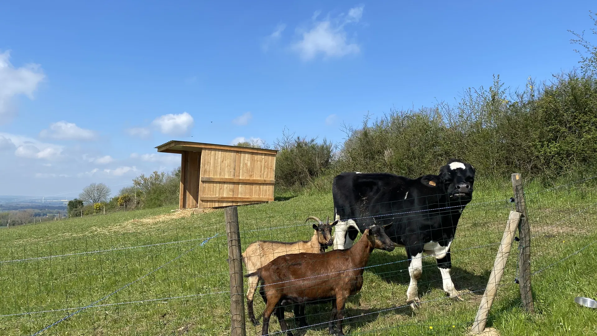 Ferme Pédagogique Pat'à foin Kids