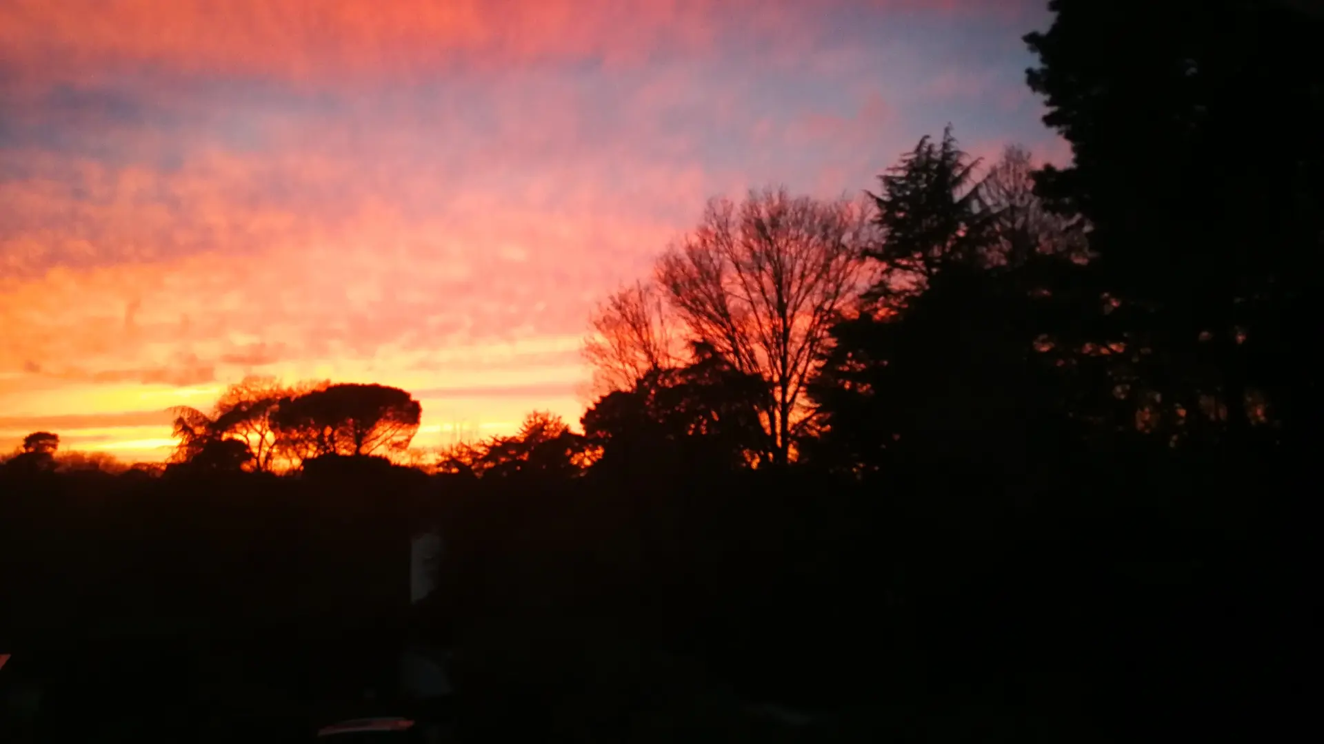 Soirée d'été