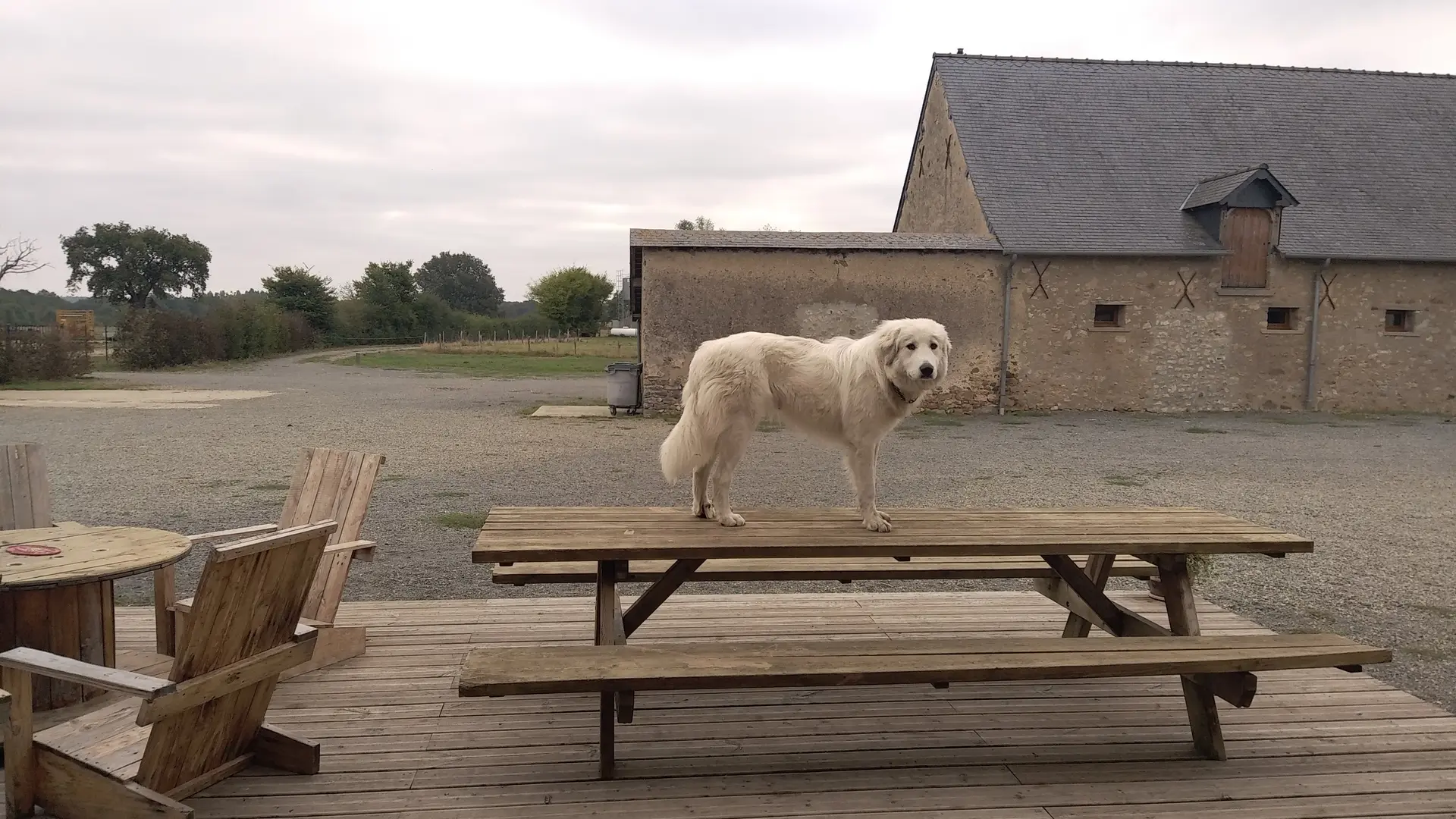 TERRASSE