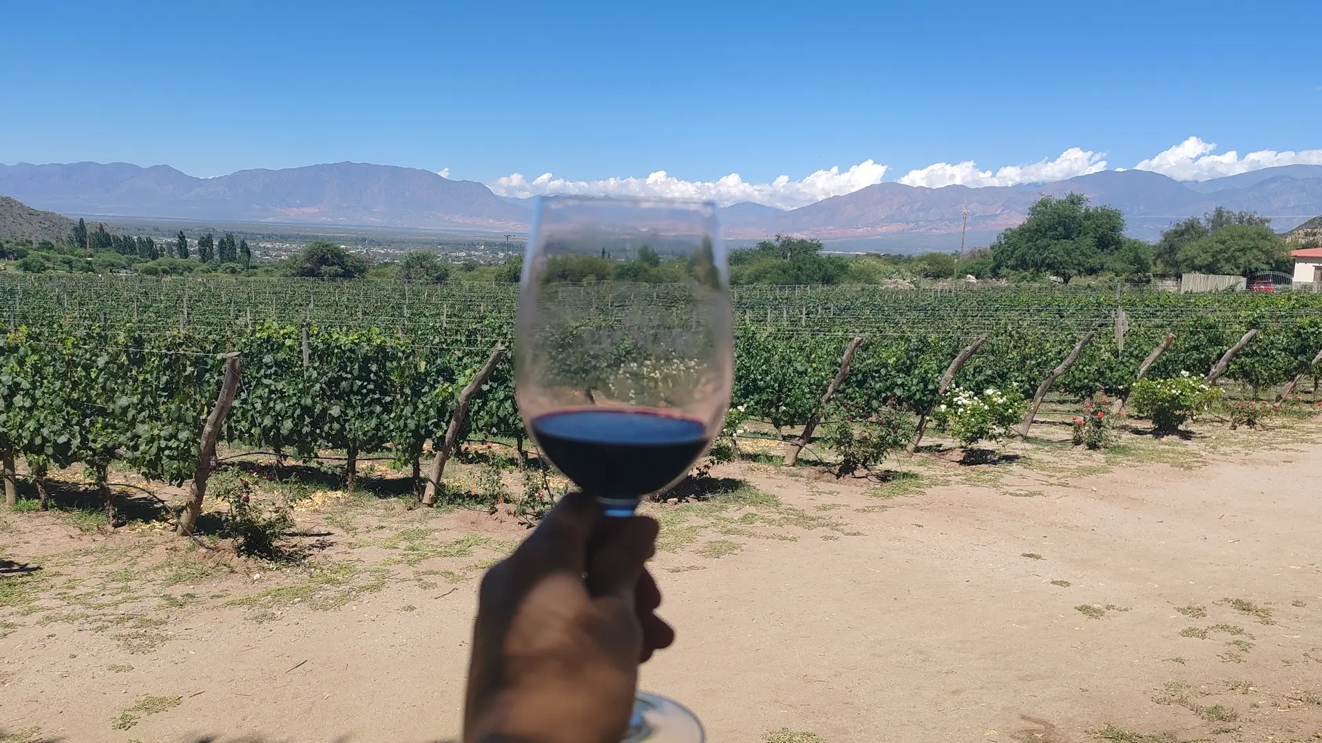 Bodega Finca Las Nubes