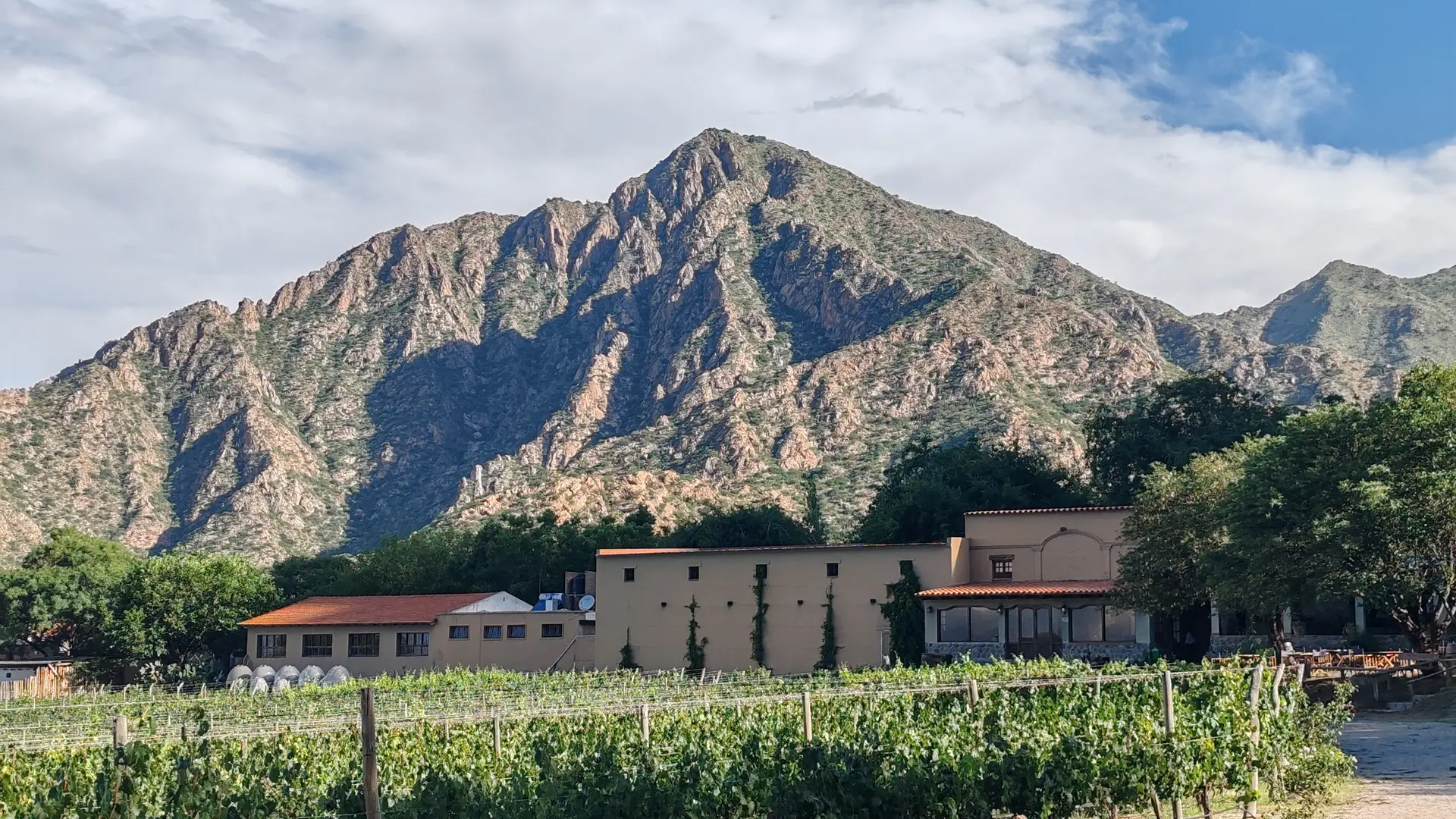 Bodega Argentina