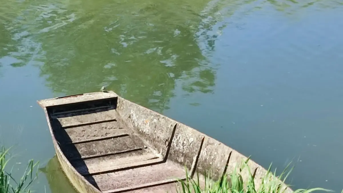meublé-o-passage-damvix-marais-poitevin-vendee-85-7