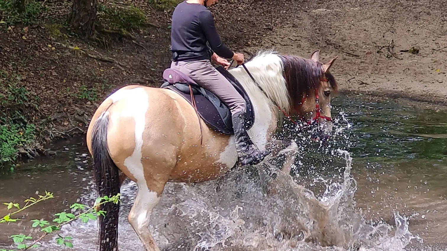 IMG-20250529-WA0002