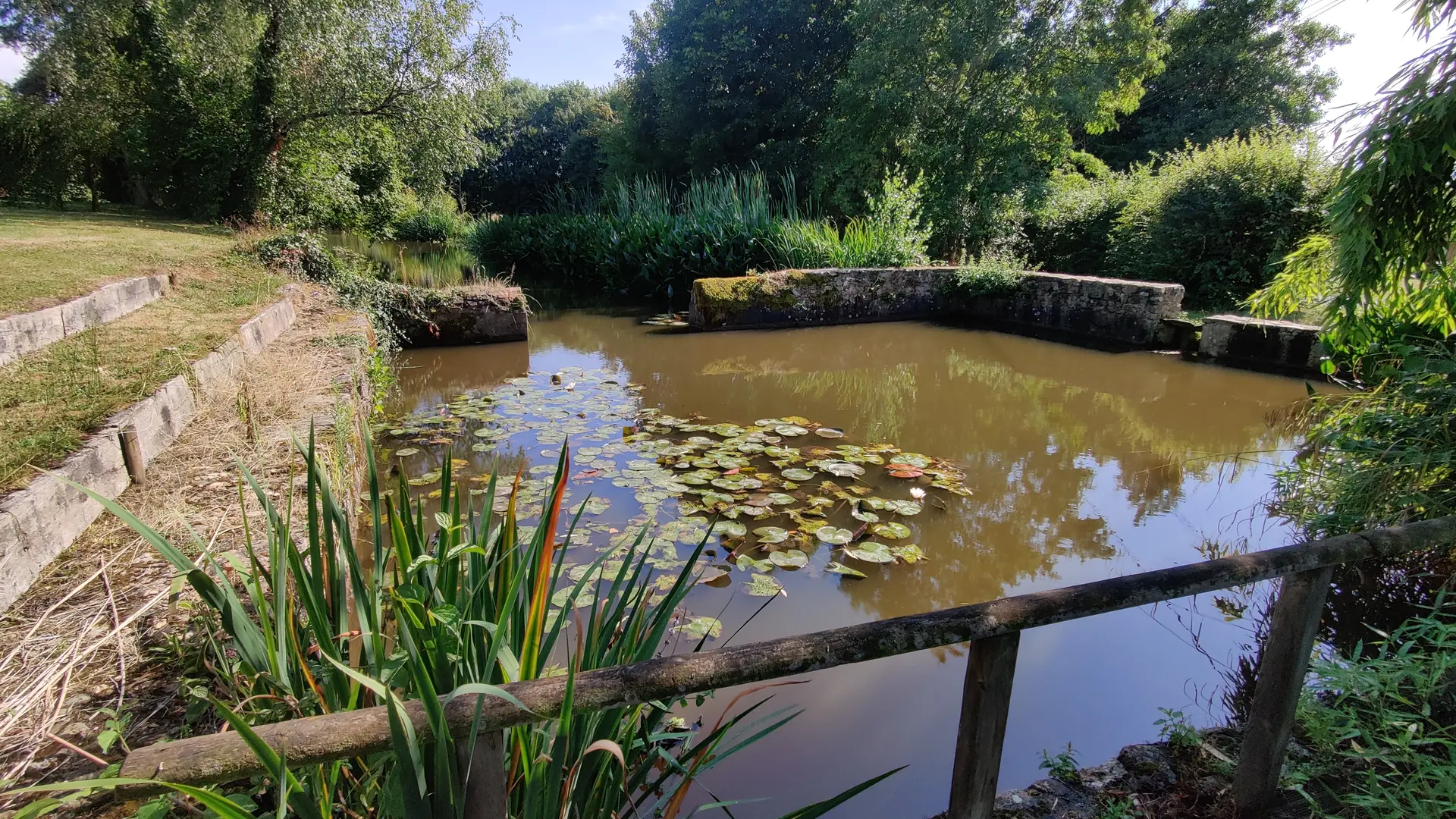 équipement extérieur, étang de pêche