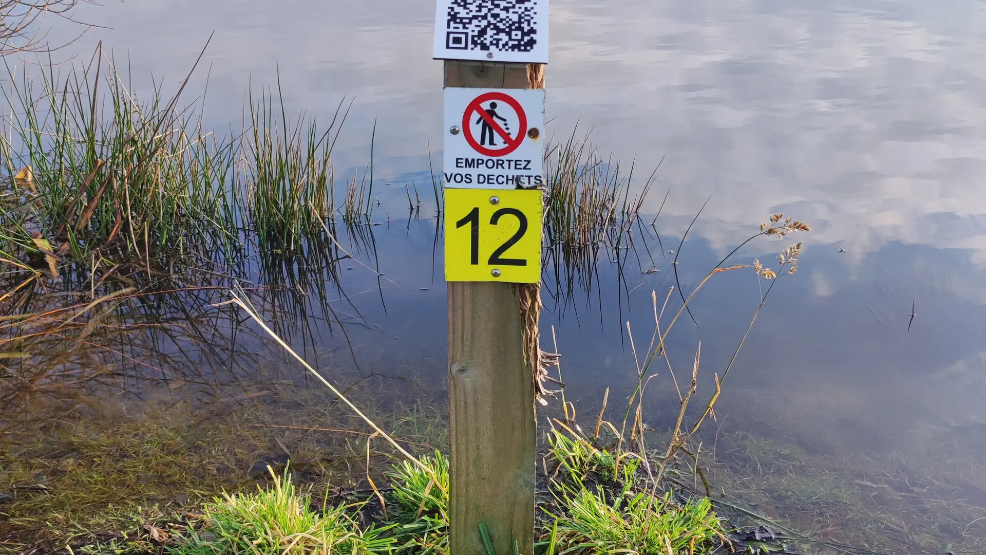 Poste numéroté et reservé à la pêche de la carpe en batterie