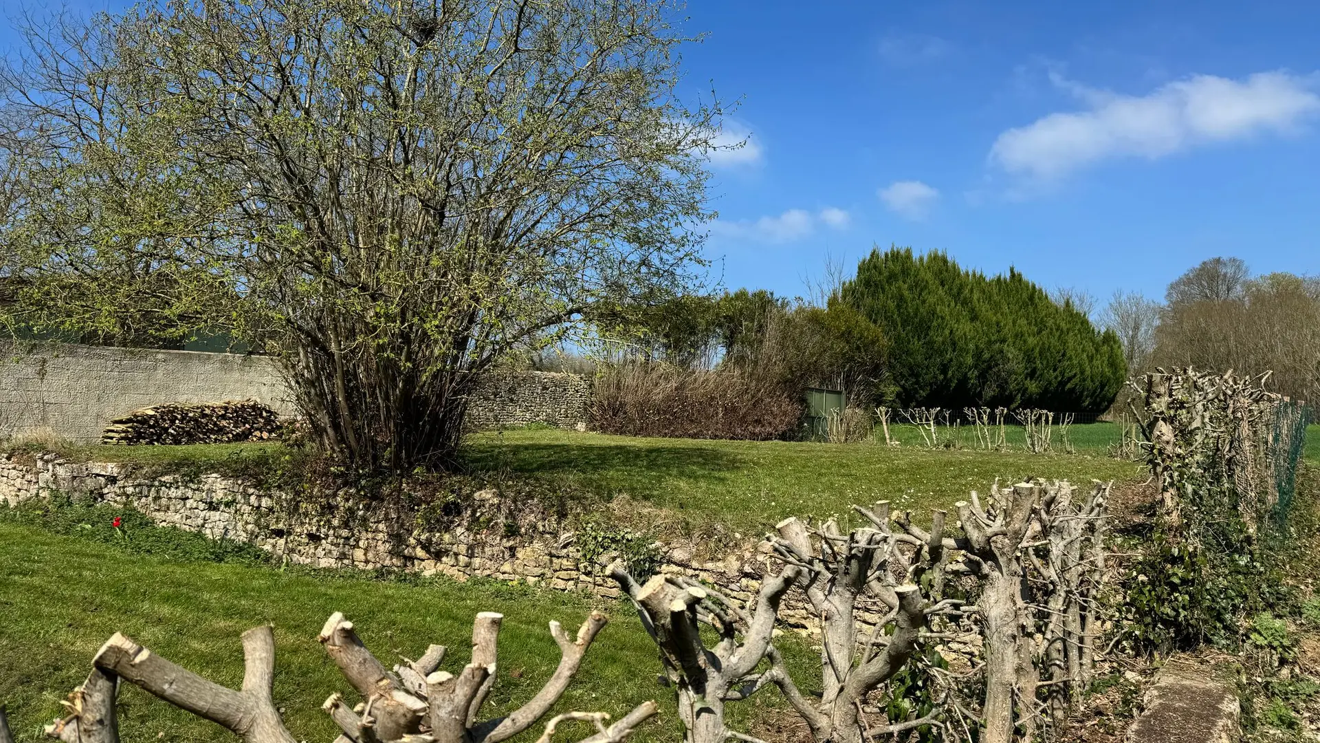 Vue jardin