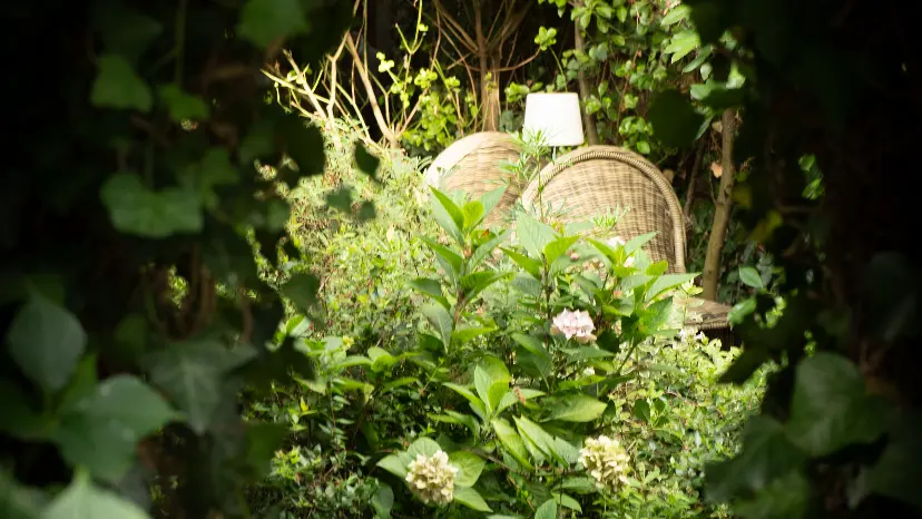 Jardin