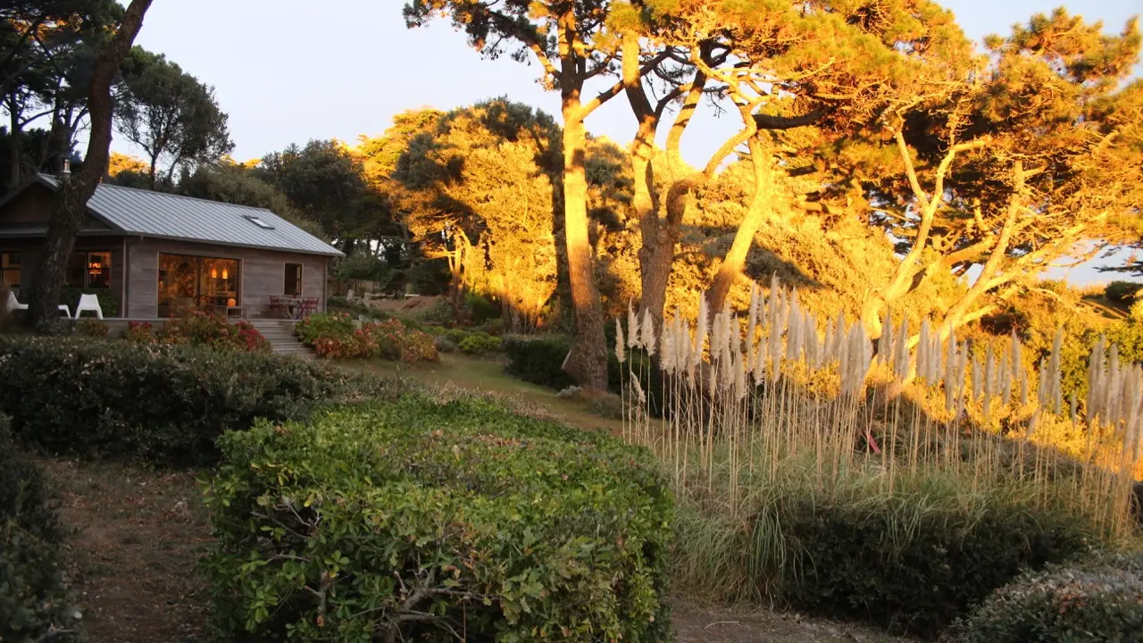 Jardin vue maison