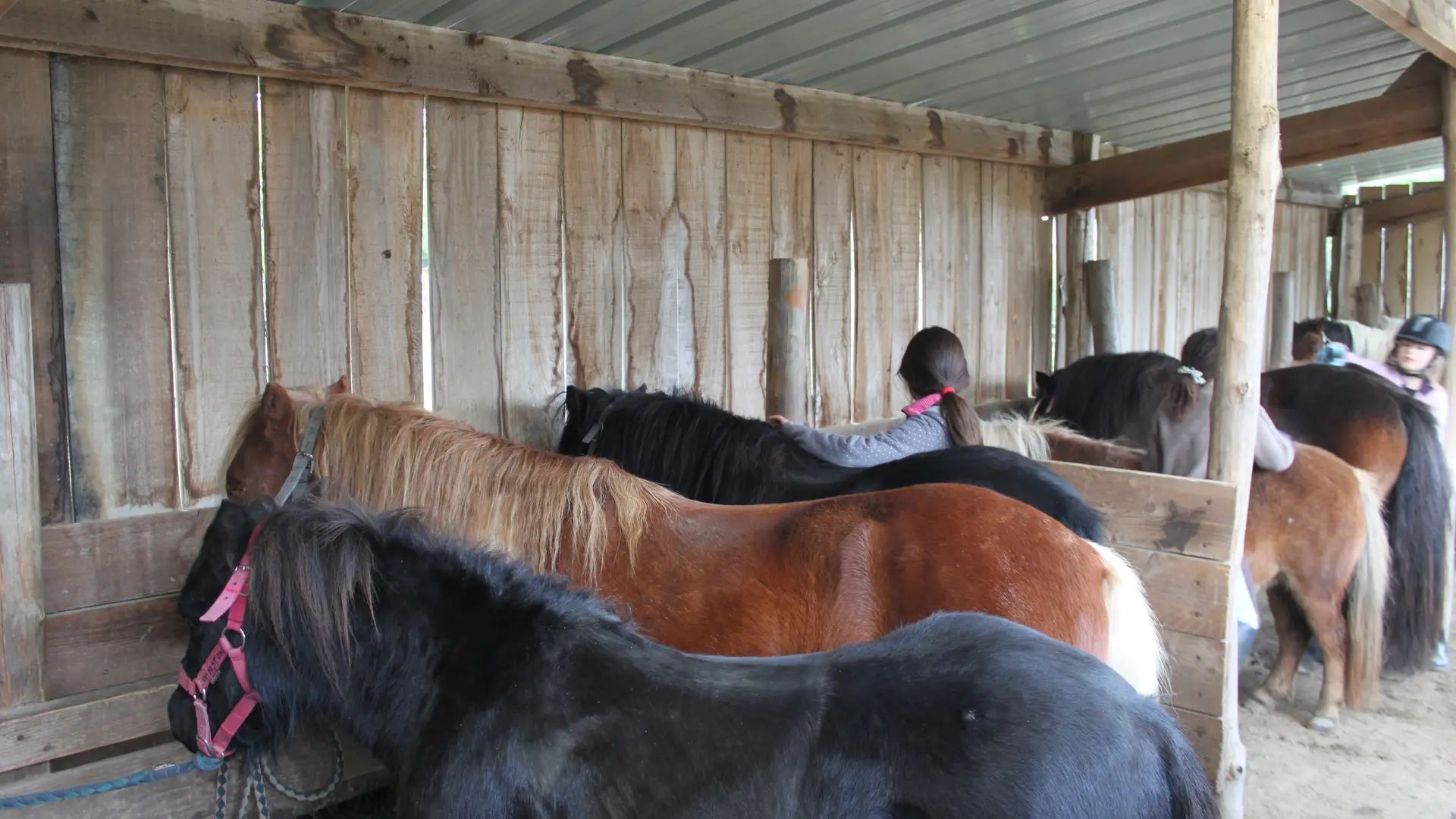 centre equestre le roc au loup