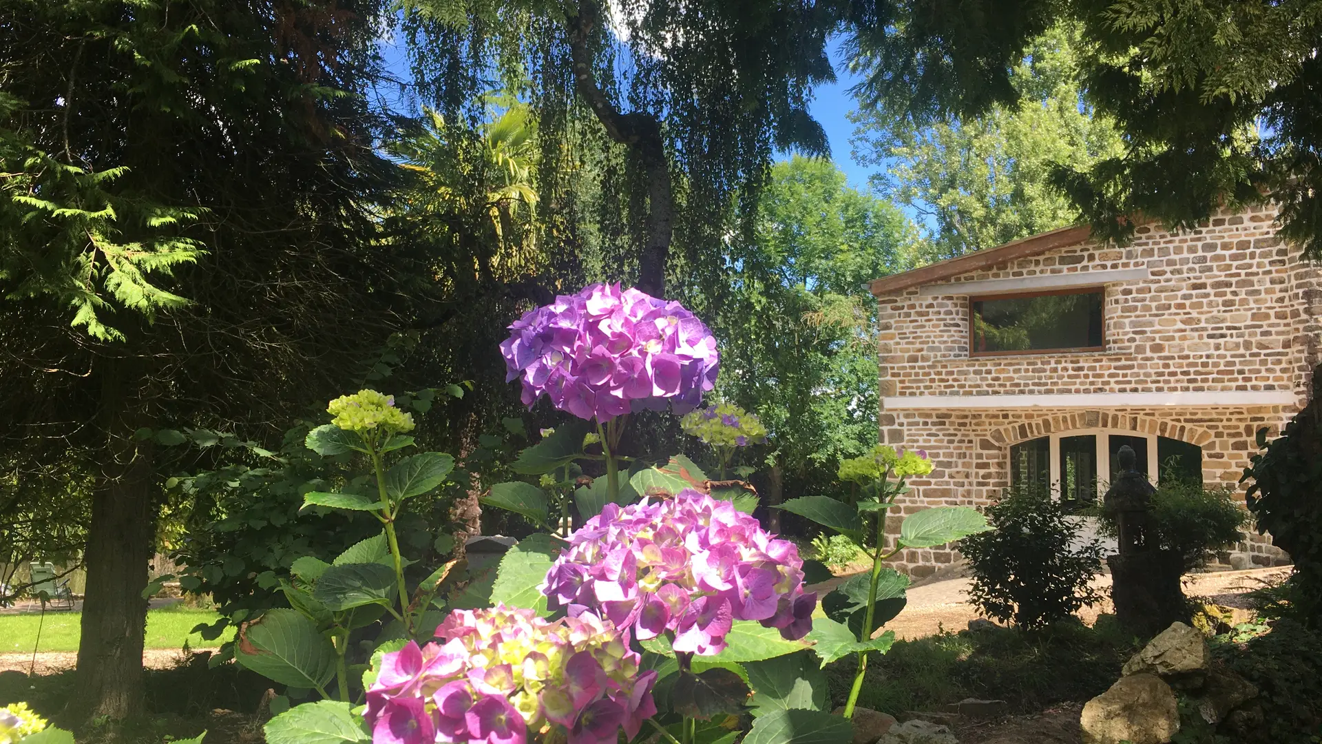 Jardin de Lilium Sauvagère