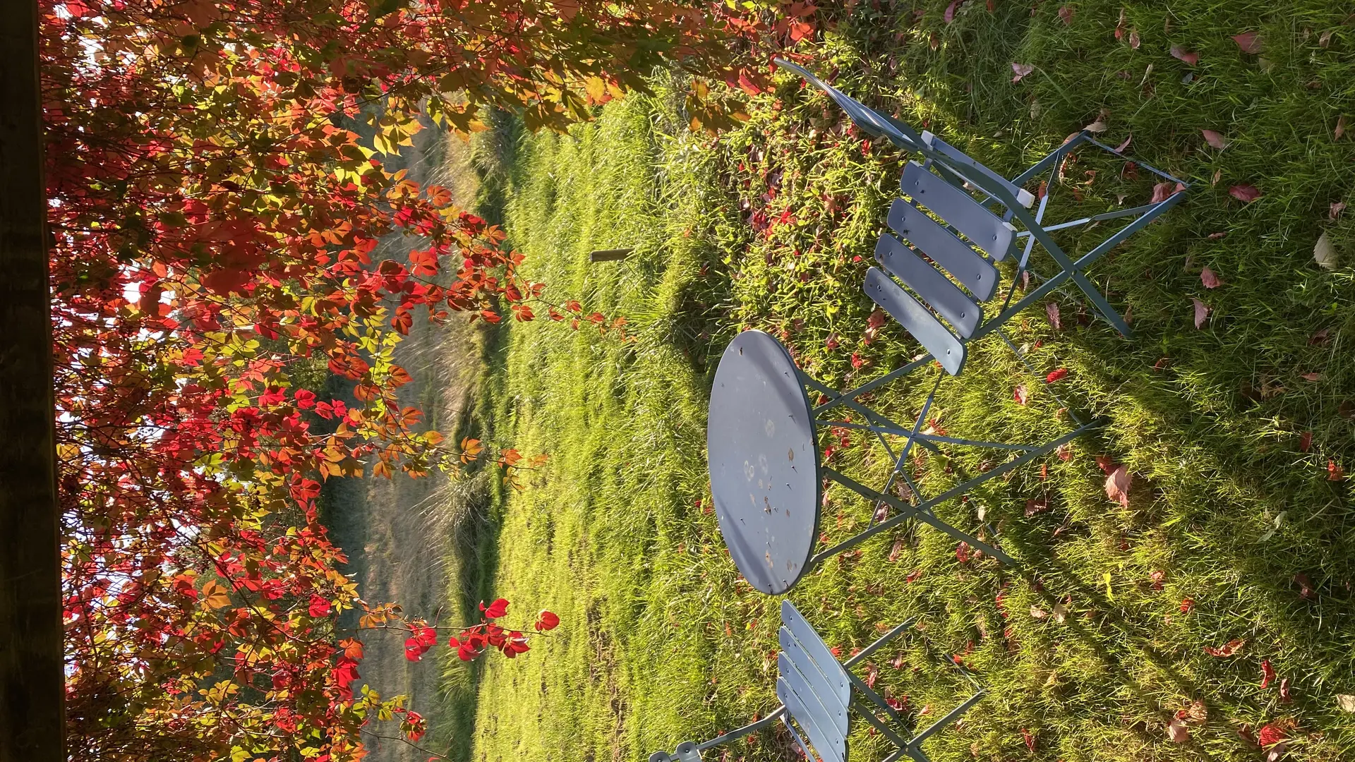 Gîte Le Rocher - Moulins-le-Carbonnel - gazebo et sa table de bistrot