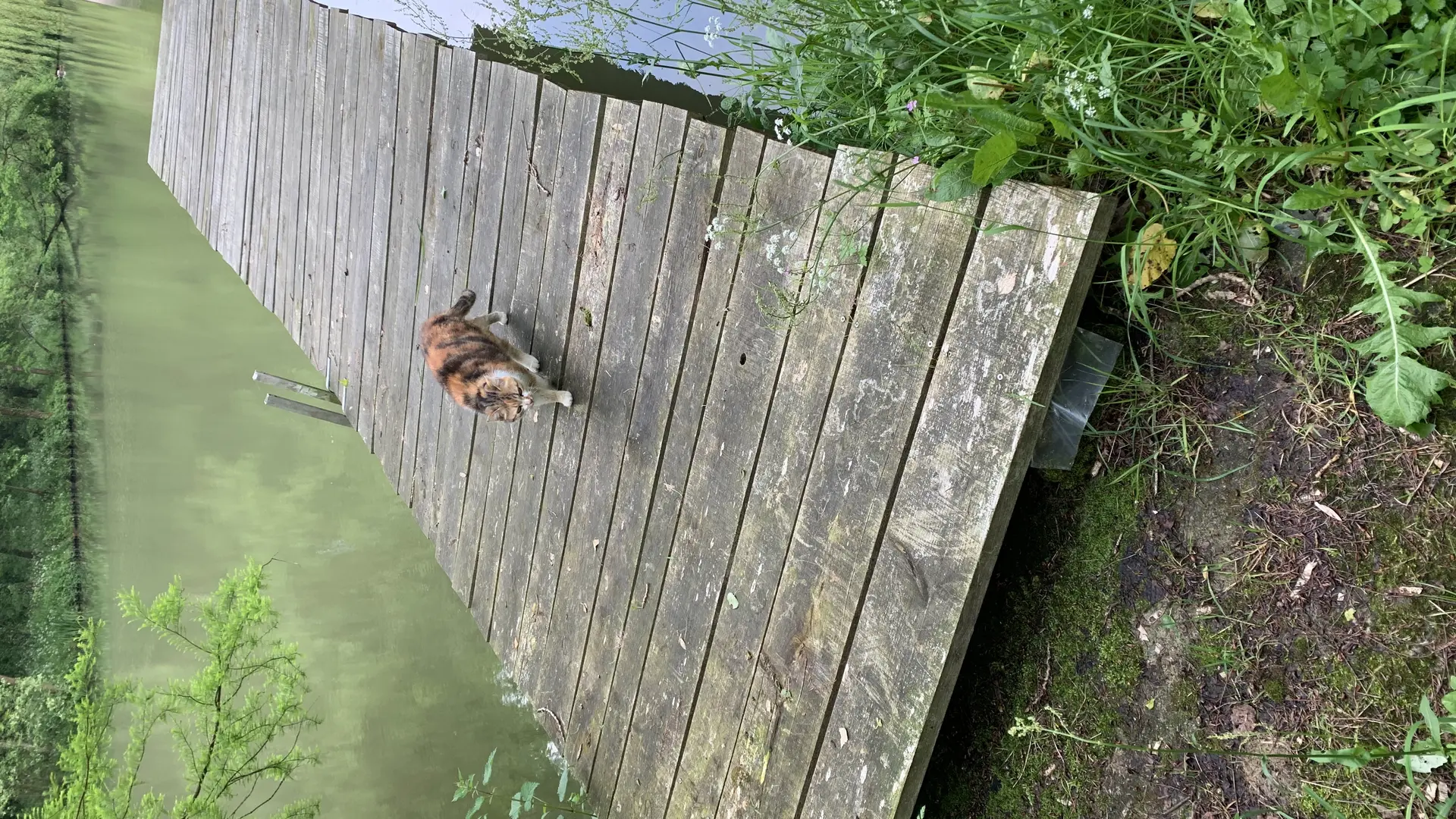 GITE INSOLITE TROGLOGITE L'ETANG D'EOLE