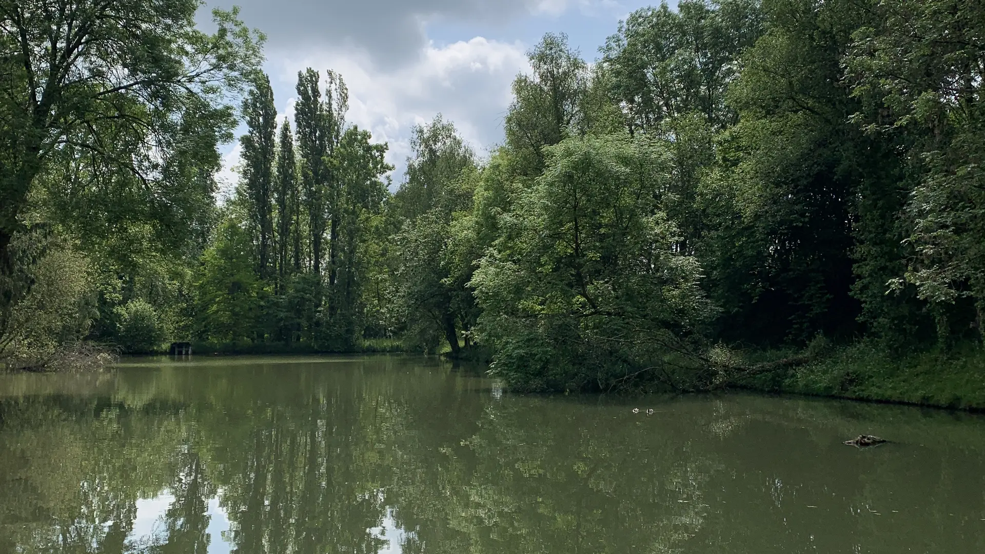 GITE INSOLITE TROGLOGITE L'ETANG D'EOLE