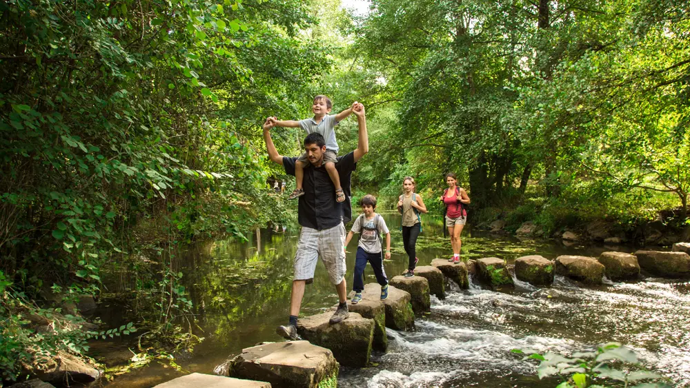 ITI53 - pas japonnais