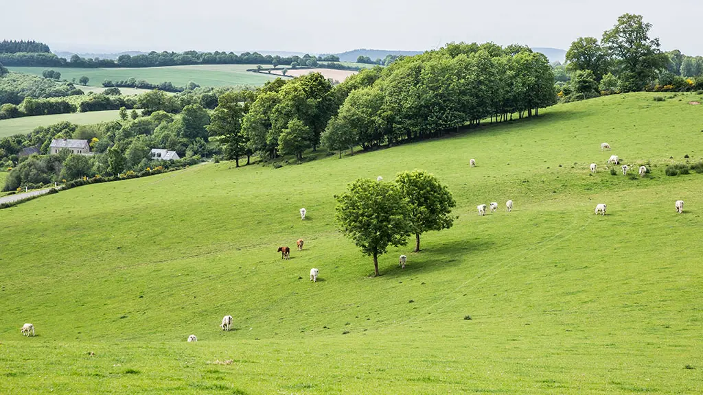 Ize-Mont-Rochard-018-CP-Philippe-Caharel