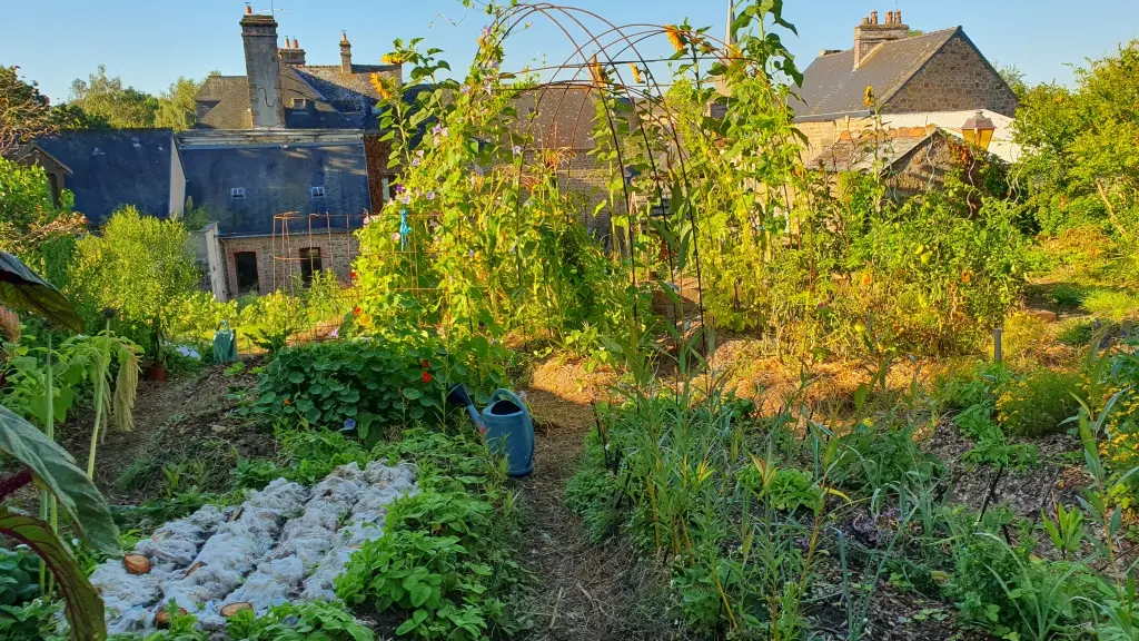 Le jardin de curé