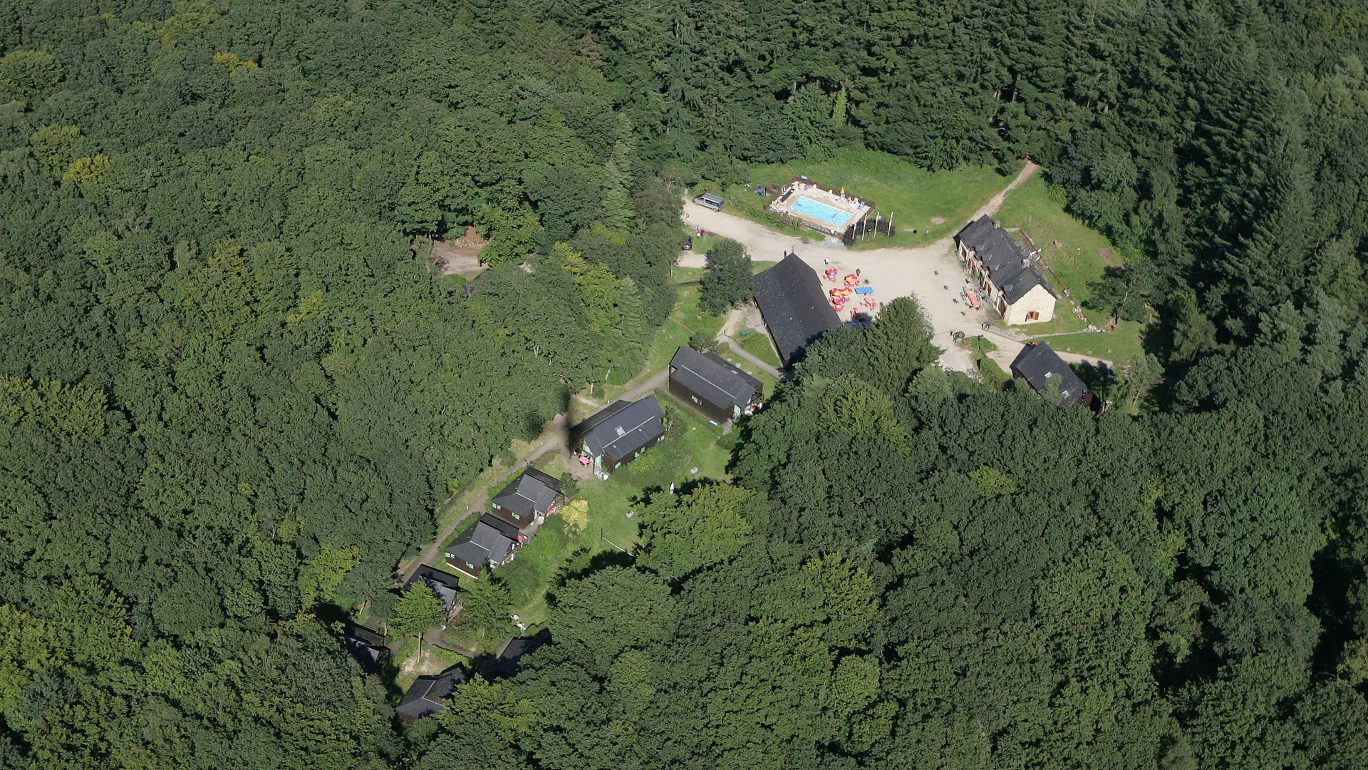 HLO - chalets du Bois du Tay - clairière