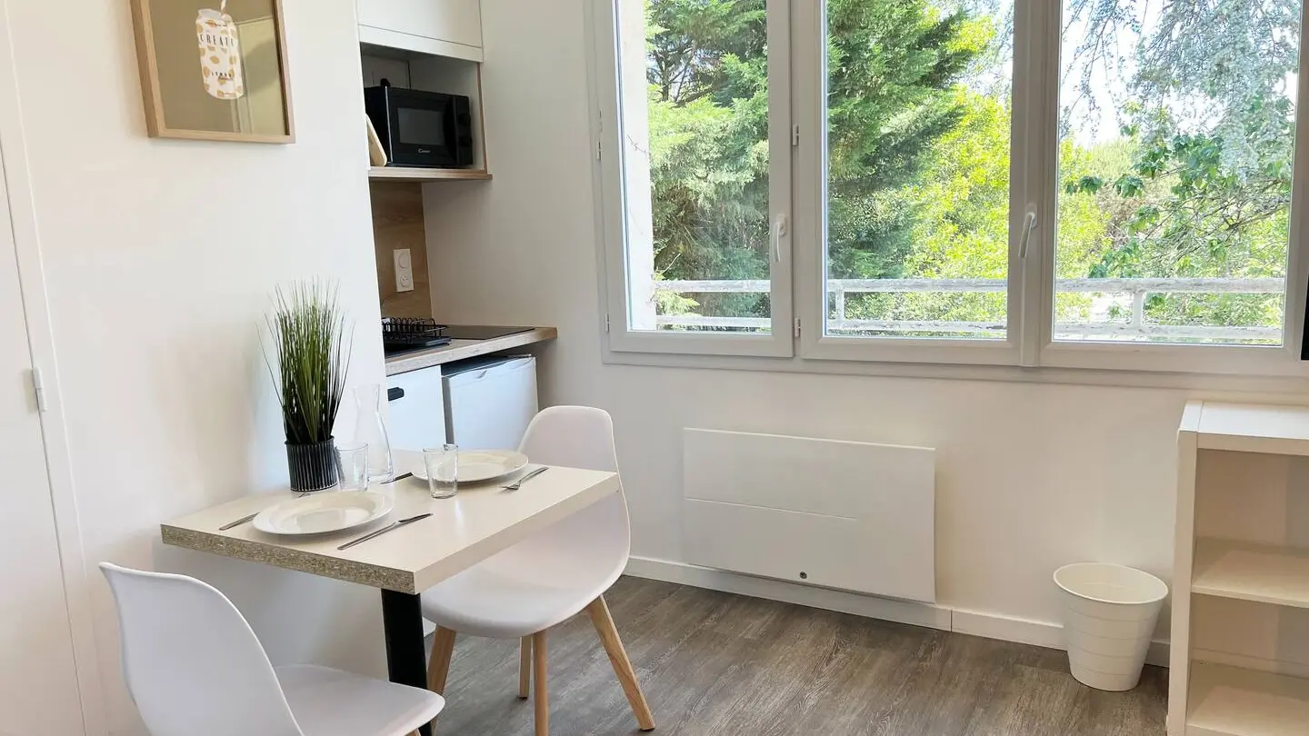 KITCHENETTE VUE SUR JARDIN ET VERDURE ANANAS