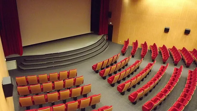 LOI53-cinema-le-majestic-montsurs-1