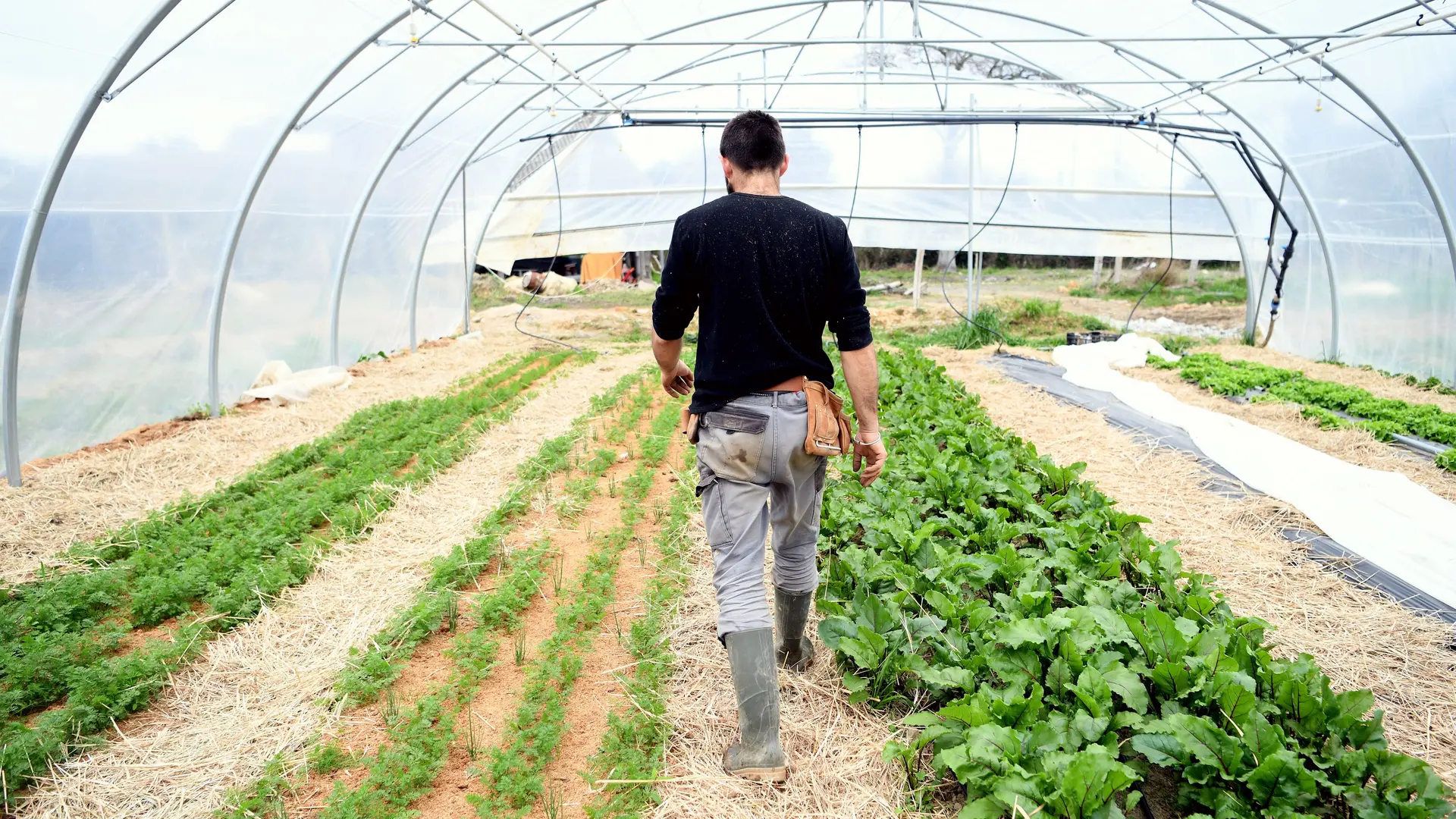 La ferme des petites mottes à Saint-Nazaire