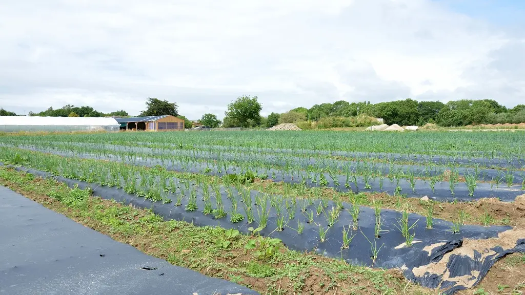 La ferme nazairienne Entre chèvres et choux