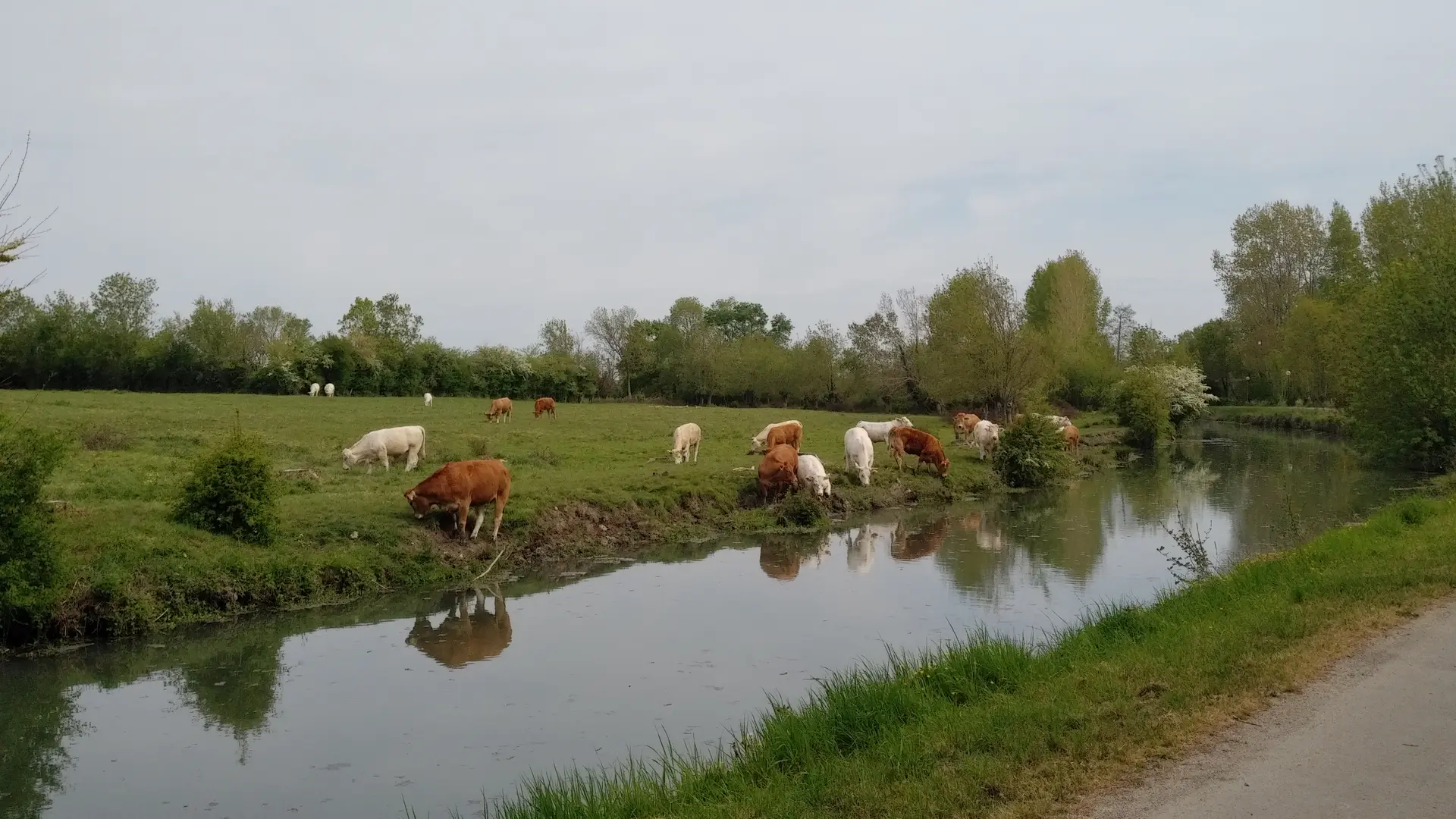 La pêcherie au Mazeau (11)