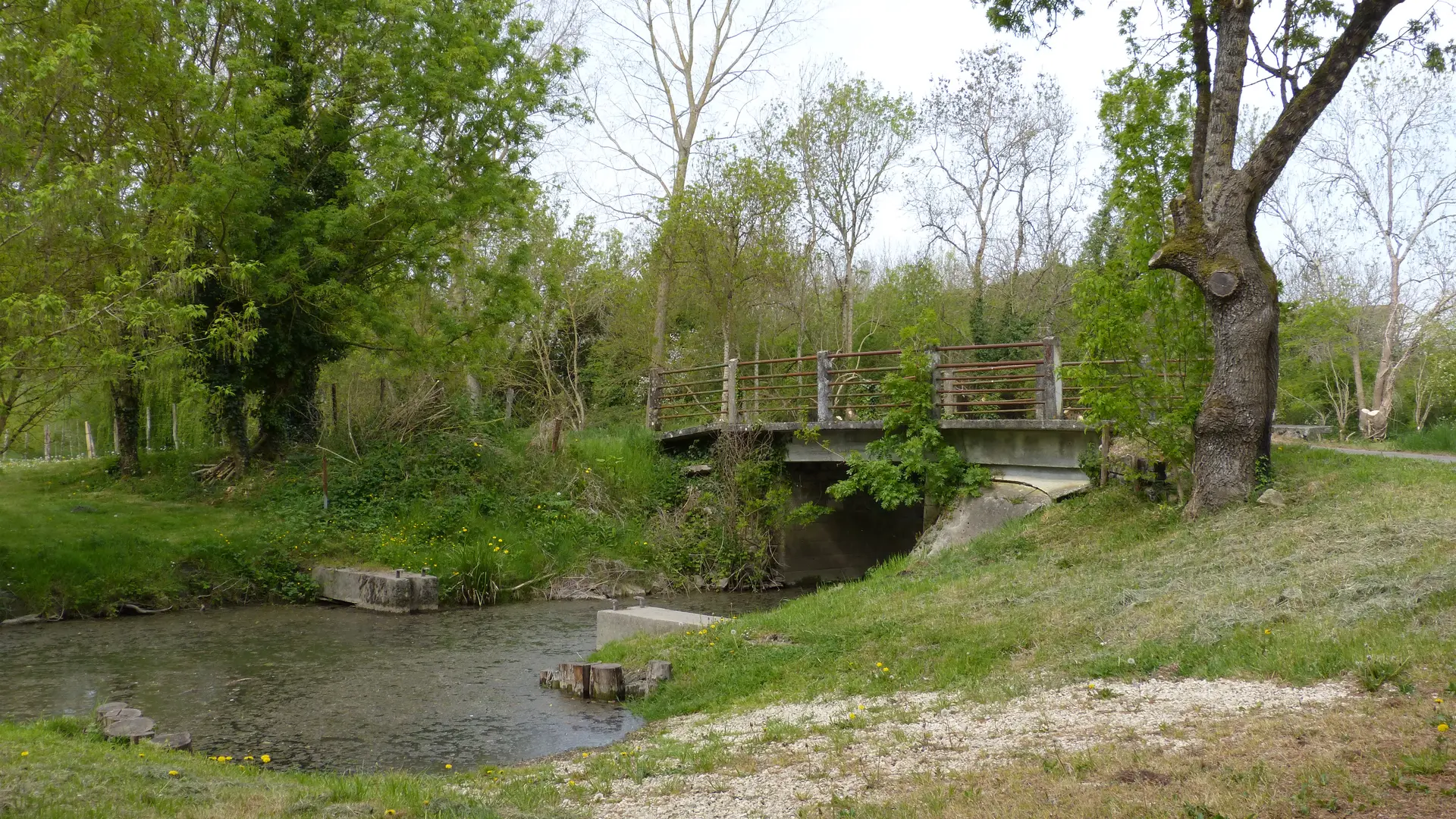 La pêcherie au Mazeau (5)