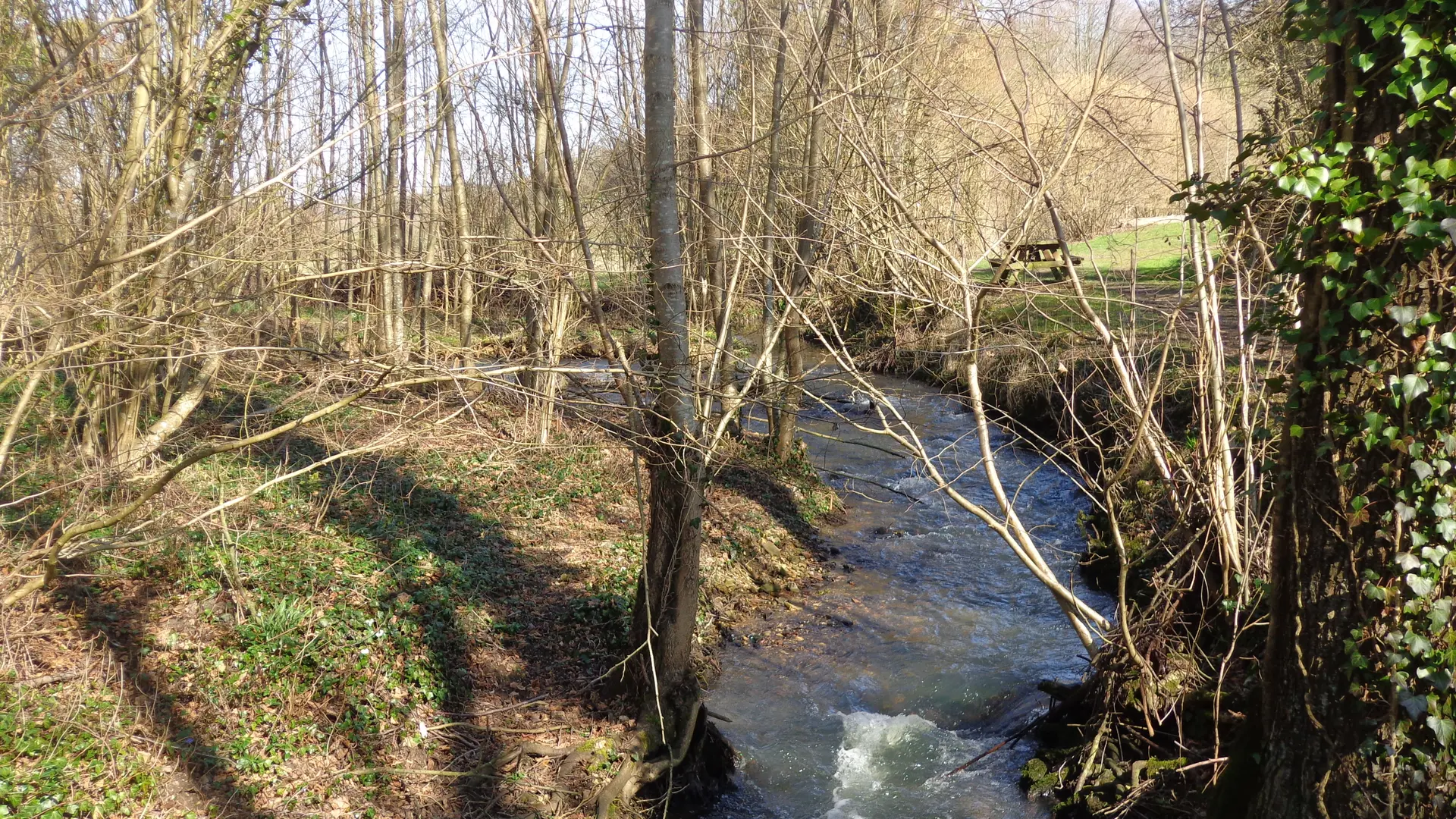 Le Moulin Banal à Vancé Le Tusson (3)