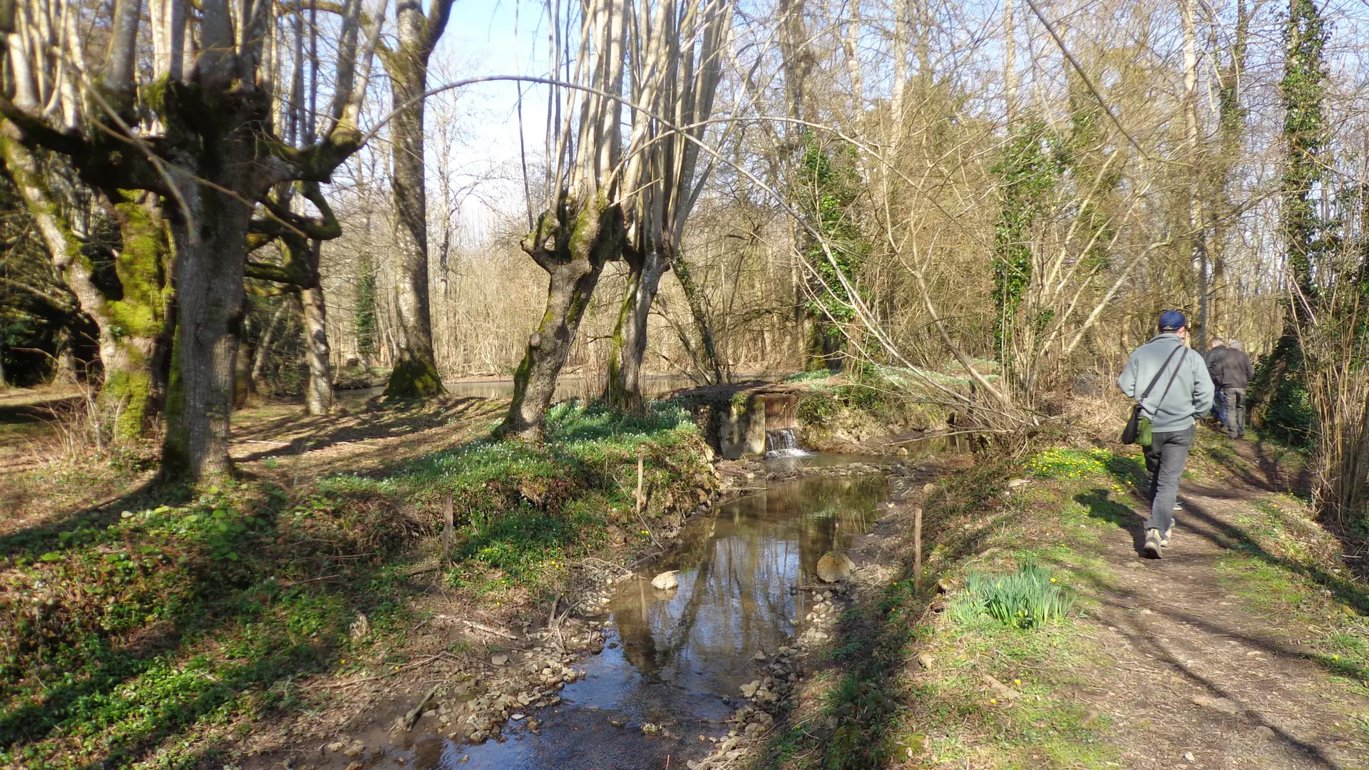 Le Moulin Banal à Vancé le Tusson