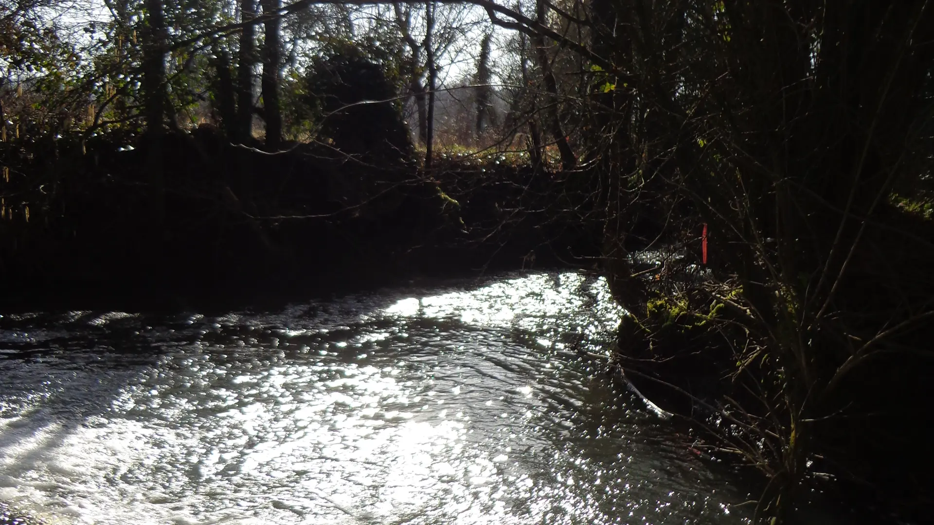 Le Moulin Guillaume LCH (4)