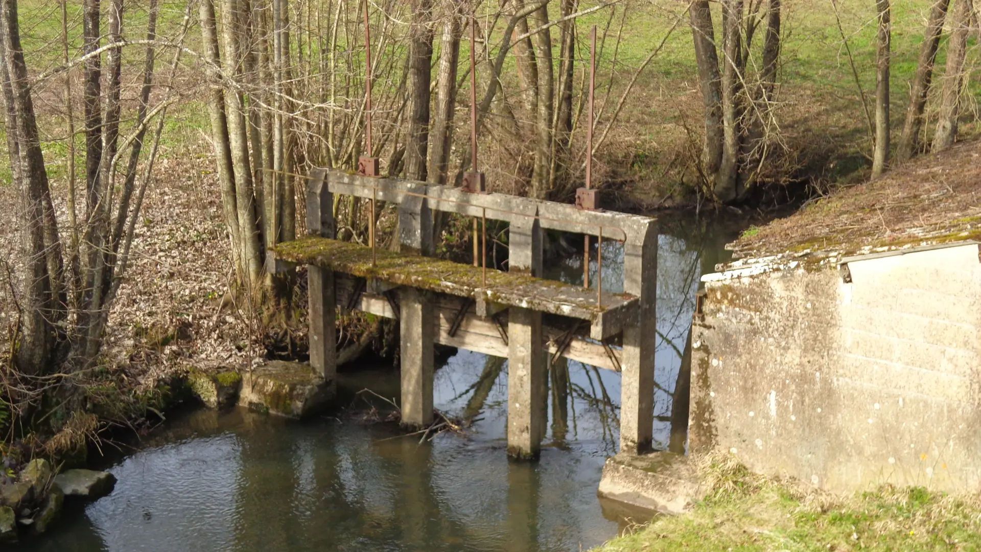 Le Tusson à Cogners au Lavoir (2)