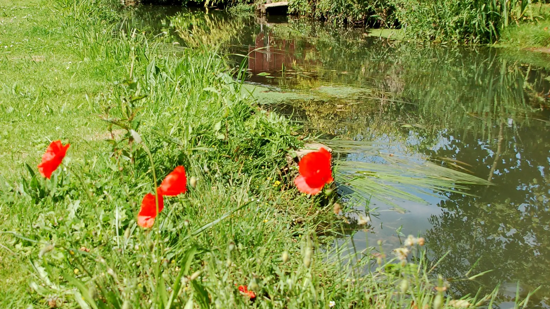 Maigné la Gée (7)
