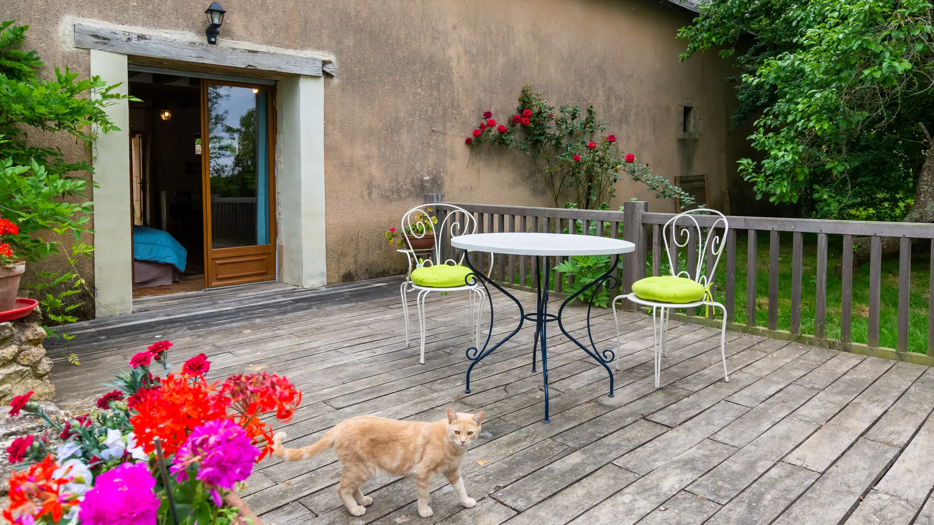 Studio Campagne - Terrasse