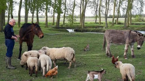 Nos animaux