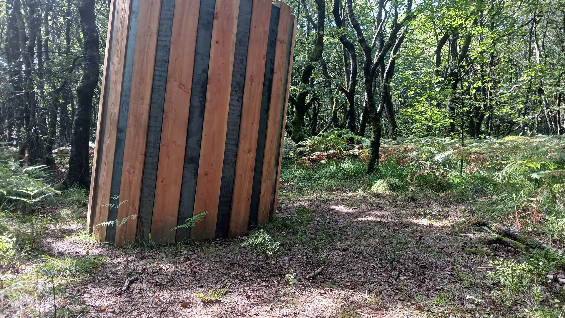 Oeuvre artistique Loge - Benoît Delomez