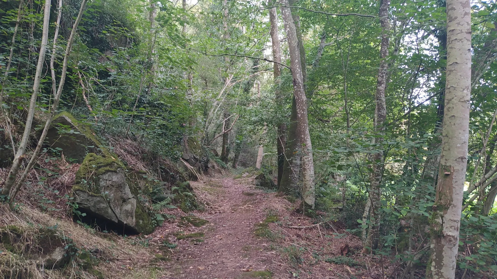 Oisseau Quincampoix 53 © bocage mayennais tourisme - 14