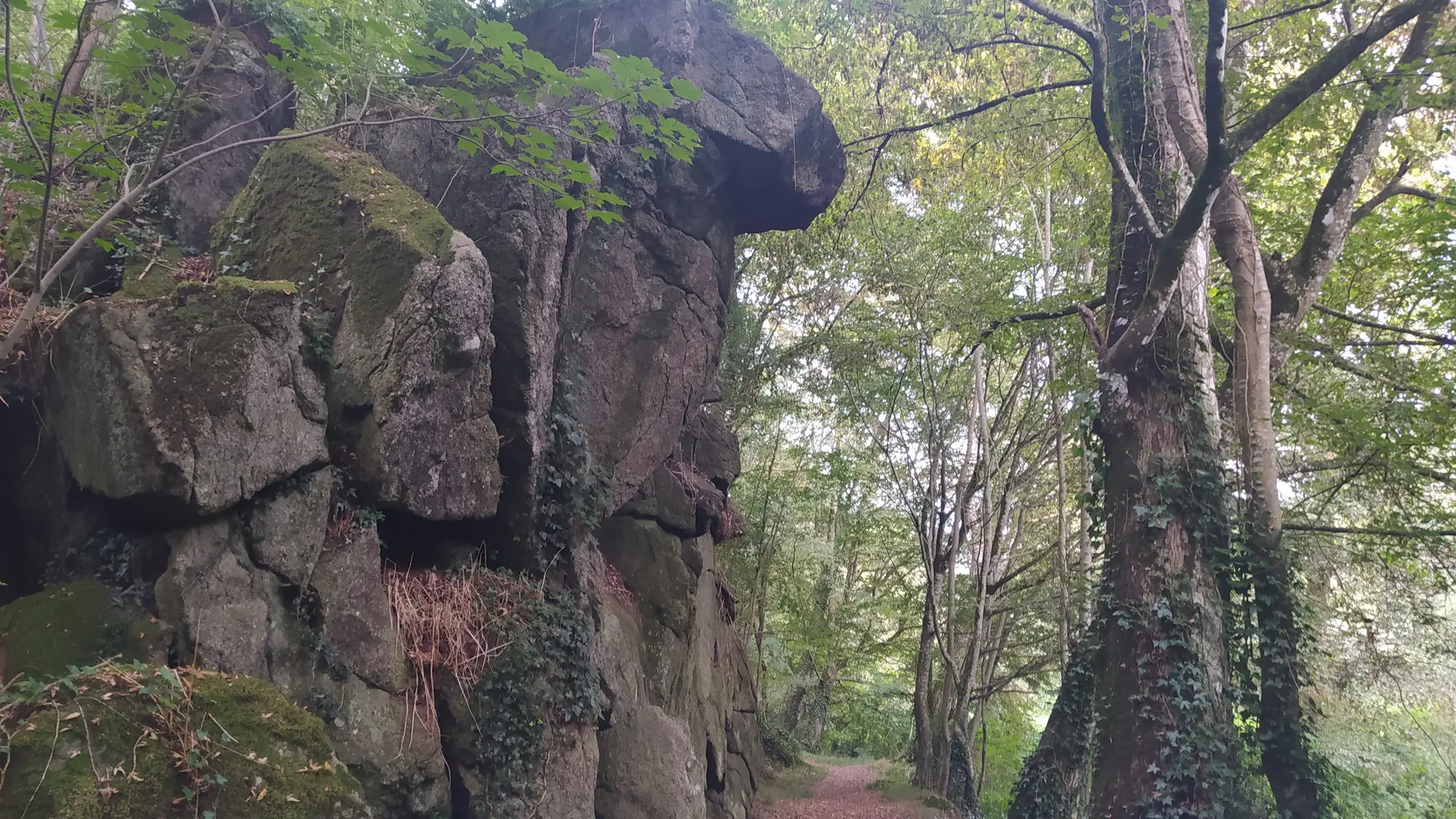 Oisseau Quincampoix 53 © bocage mayennais tourisme - 22