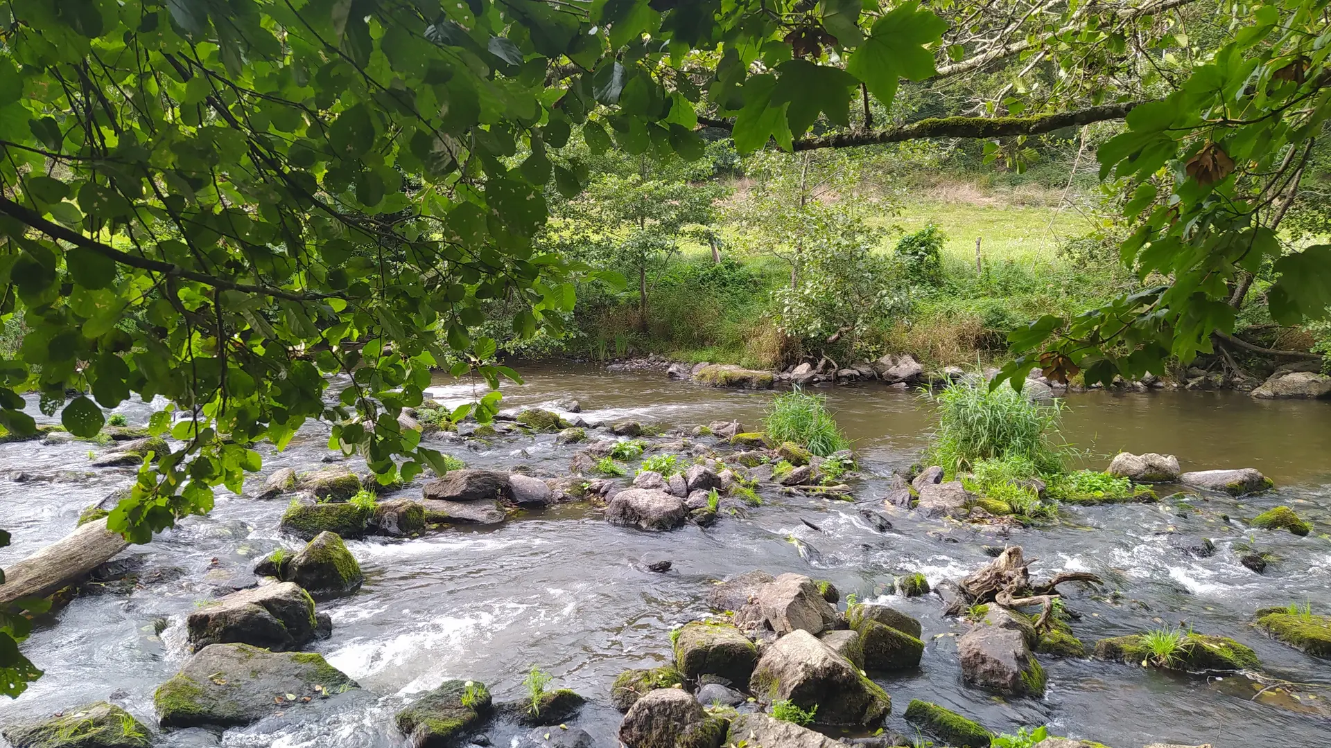 Oisseau Quincampoix 53 © bocage mayennais tourisme - 3