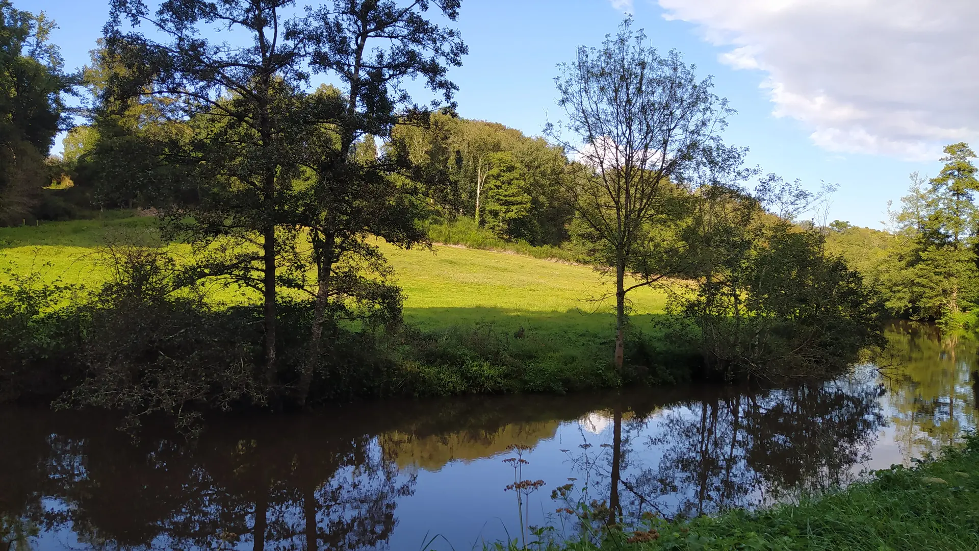 Oisseau Quincampoix 53 © bocage mayennais tourisme - 47