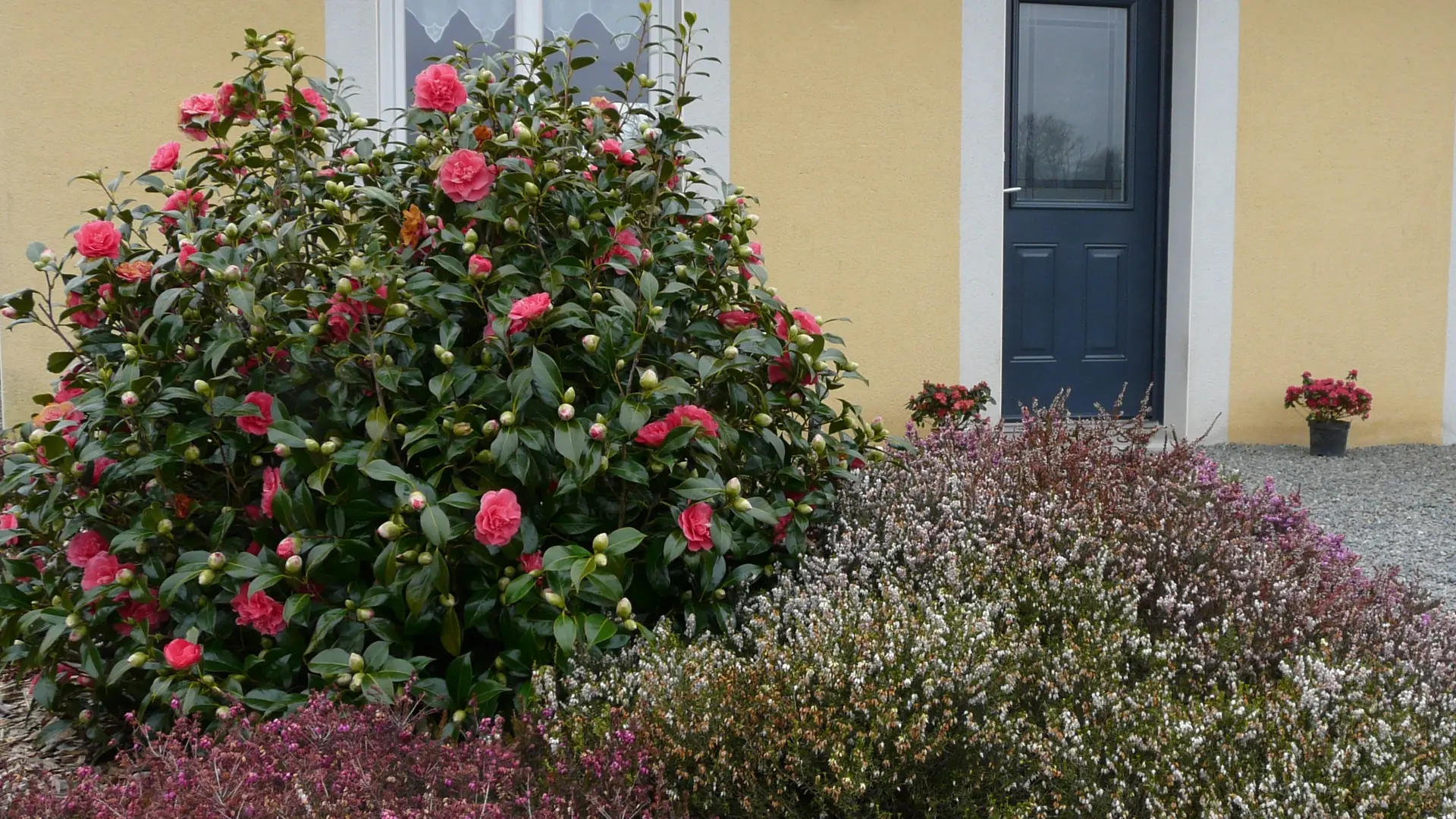 L'entrée de la maison