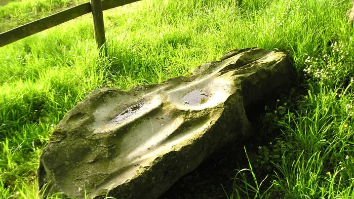 P4290864a_La_Berthelliere_polissoir